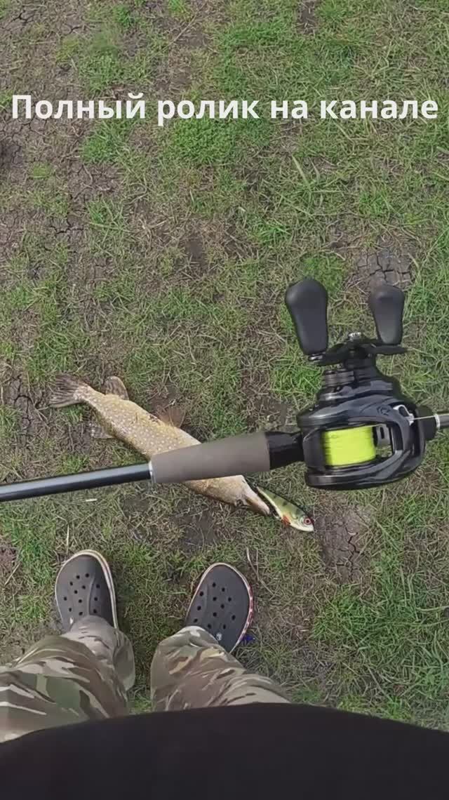 ЩУКА = 100%ая приманка +100%ая тактика!!! когда у всех не клюёт - ты поймаешь !!!! #shorts #рыбалка