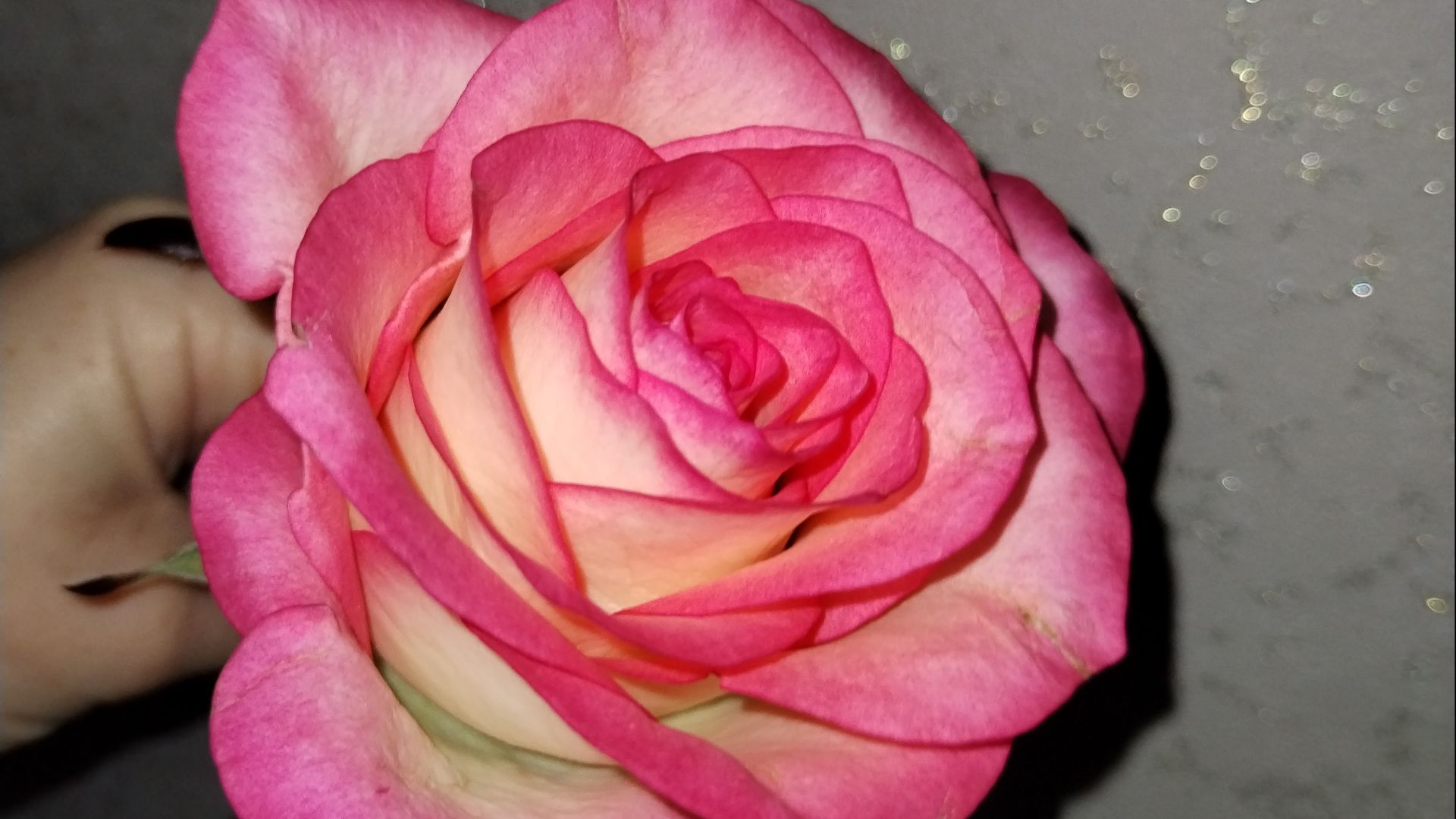 Новое распределение февраля. Аванс