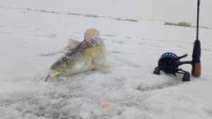 суровая судаковая рыбалка в дождь пошел снег, улетели в овраг на джипе #рыбалка #судак #зимой #топ