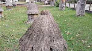 абхазия, пасека, дегустация меда, высокогорный мед, какой мед, мед из абхазии,