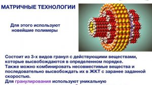 Алла Андрийчук - Технологии производства продуктов AGenYZ