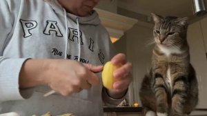 Типичный беларус