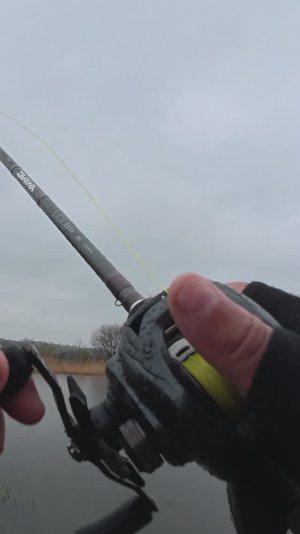 Щуки на Strike Pro Buster Jerk II лютуют/атакуют , но не могу засечь.... не мой день ????