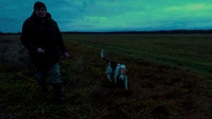 Утренняя прогулка с Дунаем.