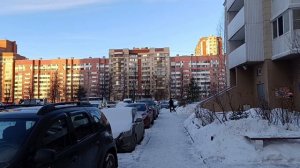 Моя действительность с понедельника на вторник.