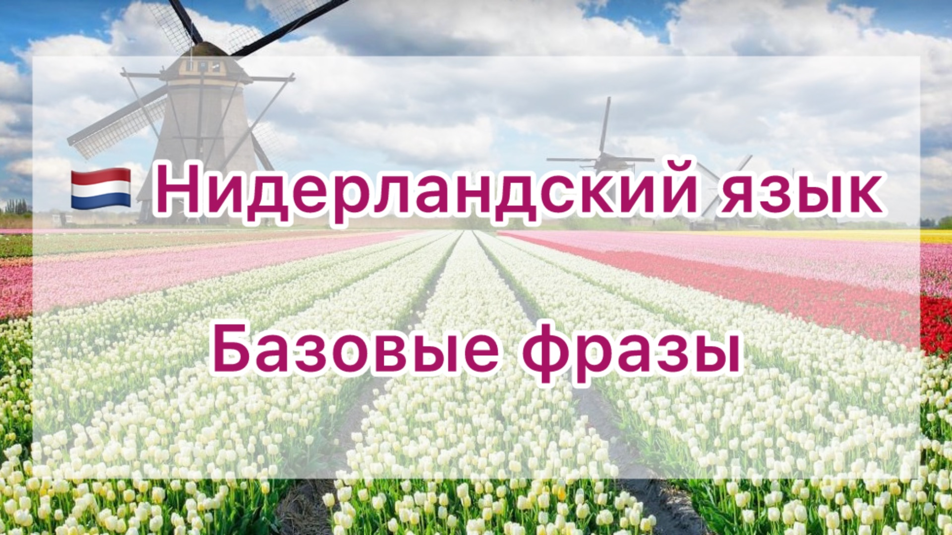 🇳🇱 Базовые фразы на нидерландском языке 🇳🇱
