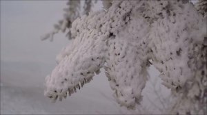 25 Февраля - Это СЛОВО разделит вашу жизнь на ДО и ПОСЛЕ.