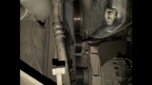 24022026 под песню слава скрипка -🎻 бобр