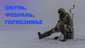 Поиск окуня в глухозимье. Есть ли рыба на глубине 15 метров