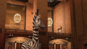 Мартин сбежал из зоопарка и теперь все куда-то плывут