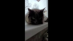 Участник №11. Бормотов Антон - "Готовимся к весне"