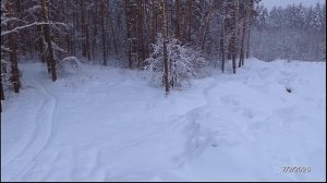 2026/2/7: Снежная свалка Заречного: вечерняя панорама с одной из высших точек насыпной снежной горы