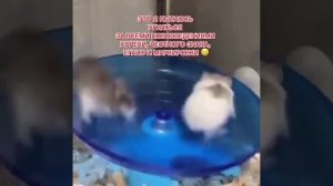 Ты знаешь, кому отправить 😂