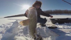 Зимняя рыбалка на налима в Сибири. Часть 88.