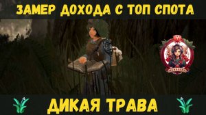 [BDO]🌱ДИКАЯ ТРАВА / СКОЛЬКО В ЧАС МОЖНО ЗАРАБОТАТЬ В МЕДВЕЖКЕ 2026 #gathering #bdo #WildGrass