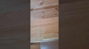 1000049230.mp4 (Собака наблюдает за устройством лестницы на 2 этаж в доме А-фрейм)