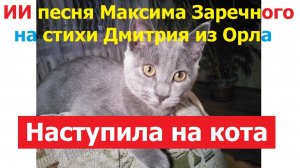 20260224 ИИ песня Вчера жена случайно на кота наступила Максима Заречного на стихи Дмитрия из Орла