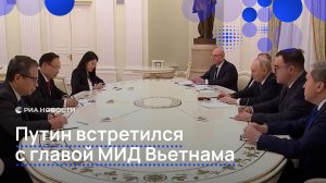 Путин встретился с главой МИД Вьетнама
