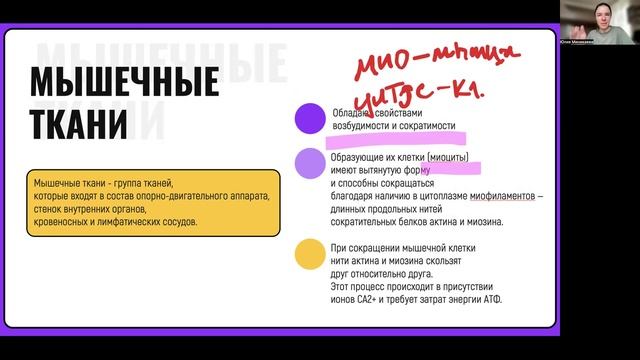 Ткани животных. Экспресс-повтор