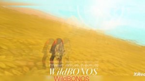 WildCraft шорд с моей др в КВ