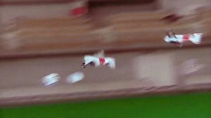 Синхронный полёт нескольких самолётов в зале на радиоуправлении