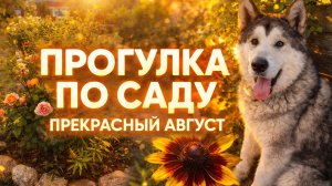 ПРОГУЛКА ПО САДУ | Прекрасный цветущий август