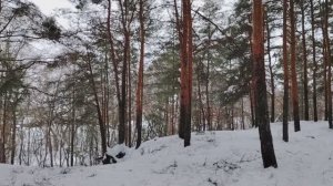 Путь бомжа. Бомж по собственному желанию