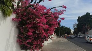 У нас бы так!