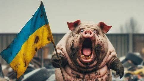 Стрим по сумеркам смотреть онлайн