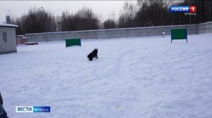 ГТРК Брянск. Брянский полицейский стал лучшим кинологом России