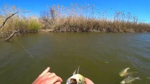 ВОТ ЭТО РЫБАЛКА! КЛЮЁТ НА ВСЁ! НА РЫБАЛКУ С ЖЕНОЙ.