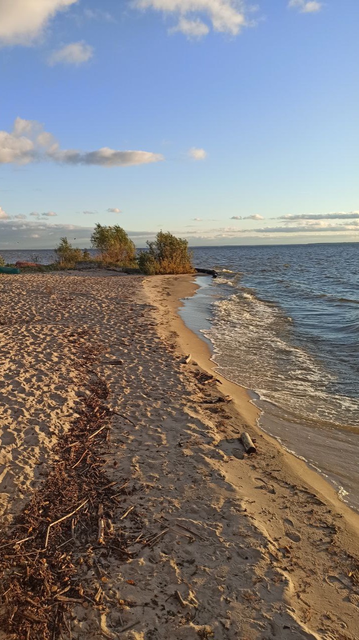 5 соток на Горьковском водохранилище д. Фалино-Пестово