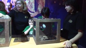 ДР 12лет Поля