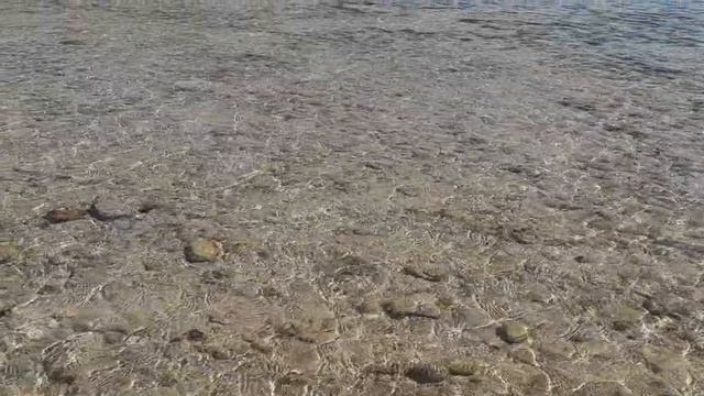 Красное море  в Шарм-эль-Шейхе