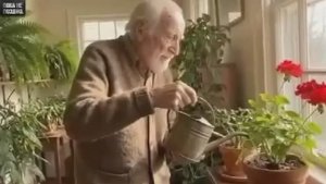 Пять основ долголетия