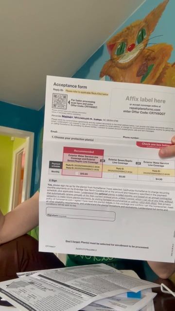 открываем письма мошенников в Америке