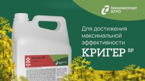Кригер — против однолетних и многолетних двудольных сорняков в посевах рапса. Технология применения