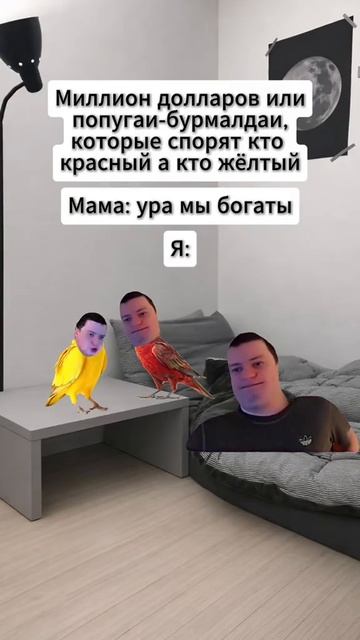 #рек #меллстрой #мемы