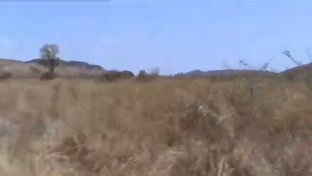Претория смотреть онлайн