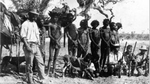 УЖАСЫ АВСТРАЛИИ