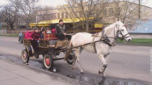 Город Каменка-Днепровская. Слайд-шоу, городские сюжеты, ч. 1.