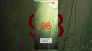 2026-02-04_12-04-59 приложение Timer, 100 секунд вперёд, 100 секунд назад.mp4