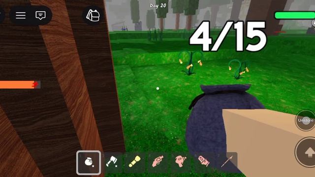 1000006077.роблокс