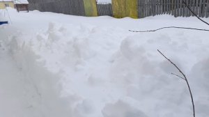 Наконец-то на дачу! Вот так снежок!