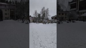 Сказочная красота Красиво 24.02.26.