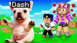 МОЙ ДРОН снял ЩЕНОК PIBBLE в МАЙНКРАФТ НУБ И ПРО ЭВОЛЮЦИЯ ВИДЕО MINECRAFT Евгенбро