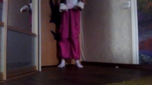 туториал по ходьбе: квадробика