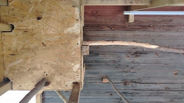 Ворон Гриша 24 февраля, с праздником