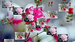 Волшебная Зимняя розовая сказка 1 от Киностудии Мудрого Кота Тимофея!