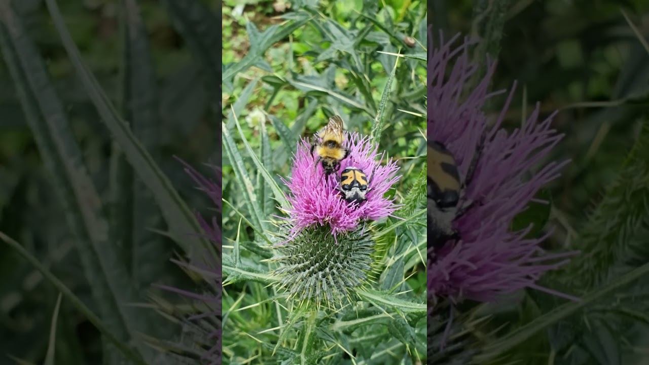 What could be better than this moment?